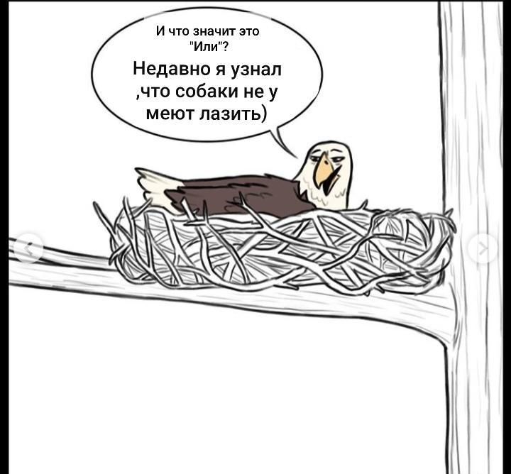 Манга Пикси и Брут - Глава 43 Страница 5