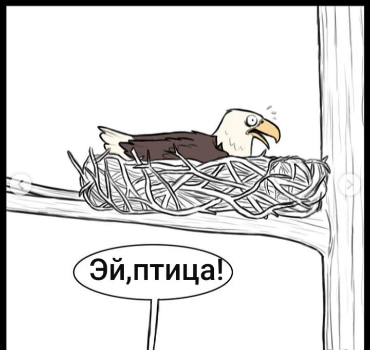 Манга Пикси и Брут - Глава 43 Страница 2