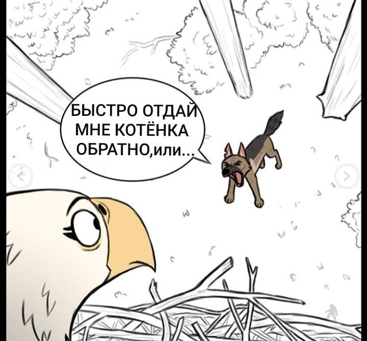 Манга Пикси и Брут - Глава 43 Страница 3