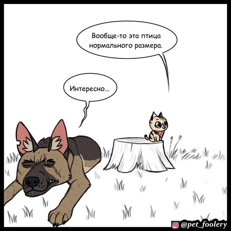 Манга Пикси и Брут - Глава 40 Страница 2