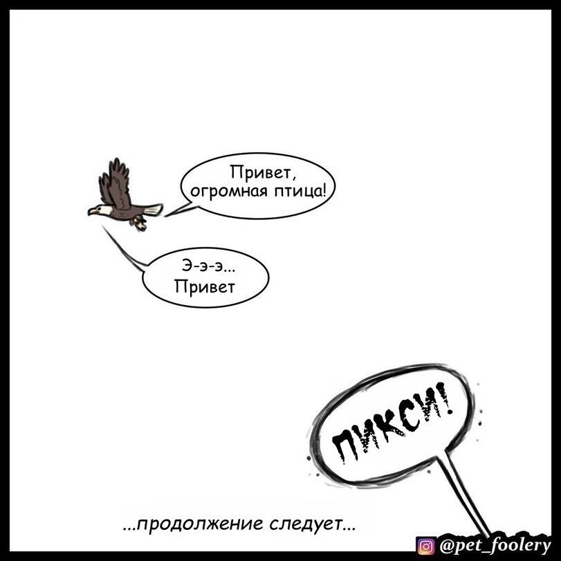 Манга Пикси и Брут - Глава 40 Страница 6
