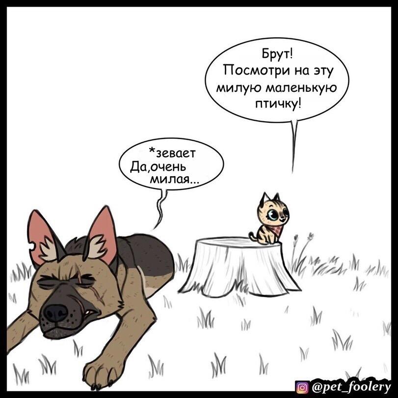 Манга Пикси и Брут - Глава 40 Страница 1