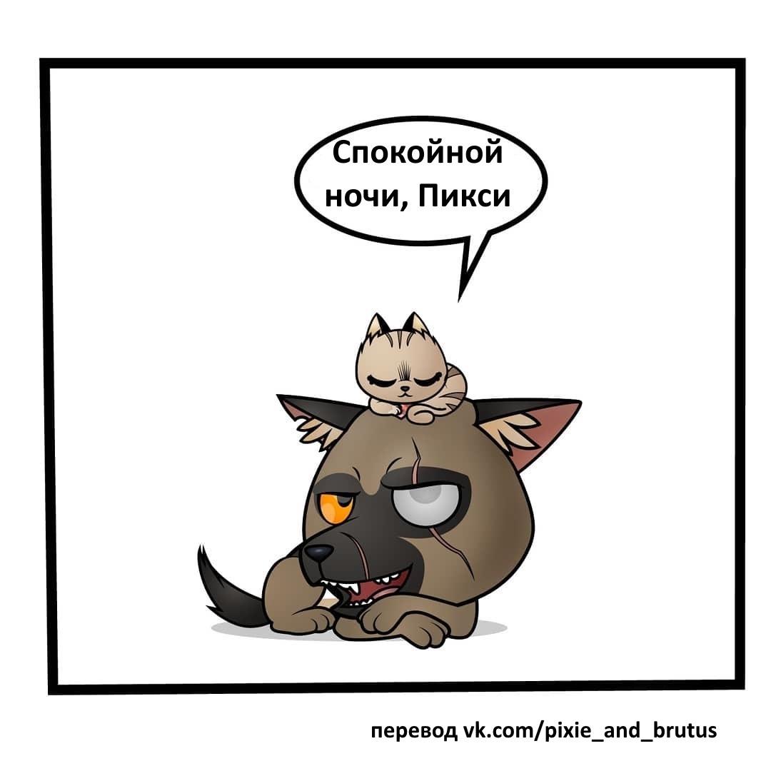 Манга Пикси и Брут - Глава 38.1 Страница 8