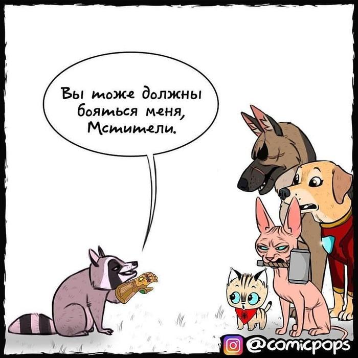 Манга Пикси и Брут - Глава 38 Страница 4