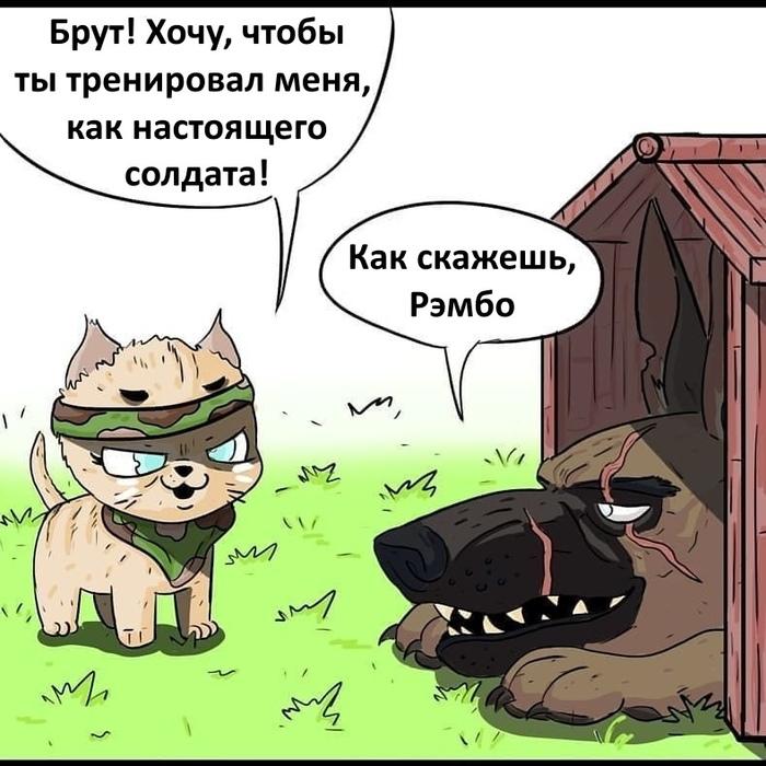 Манга Пикси и Брут - Глава 36.1 Страница 1