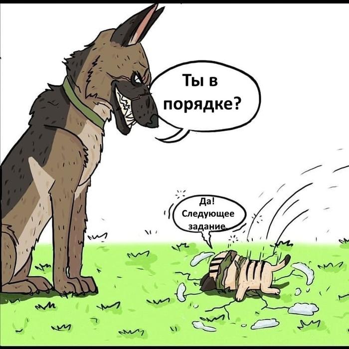 Манга Пикси и Брут - Глава 36.1 Страница 4