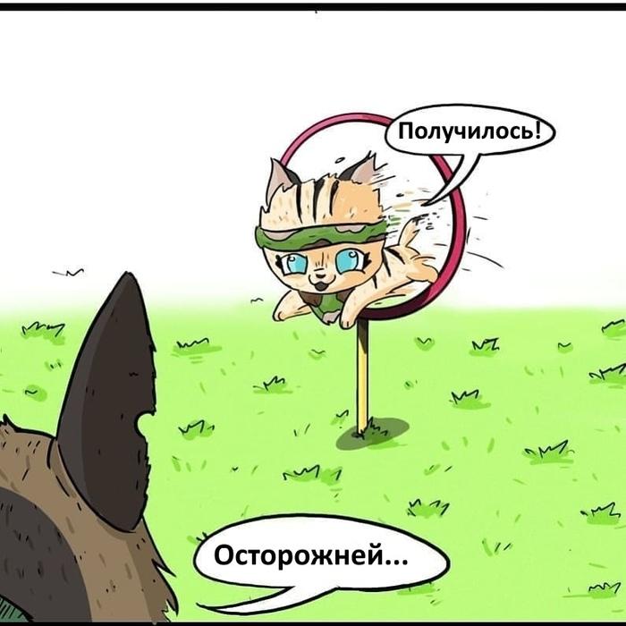 Манга Пикси и Брут - Глава 36.1 Страница 3