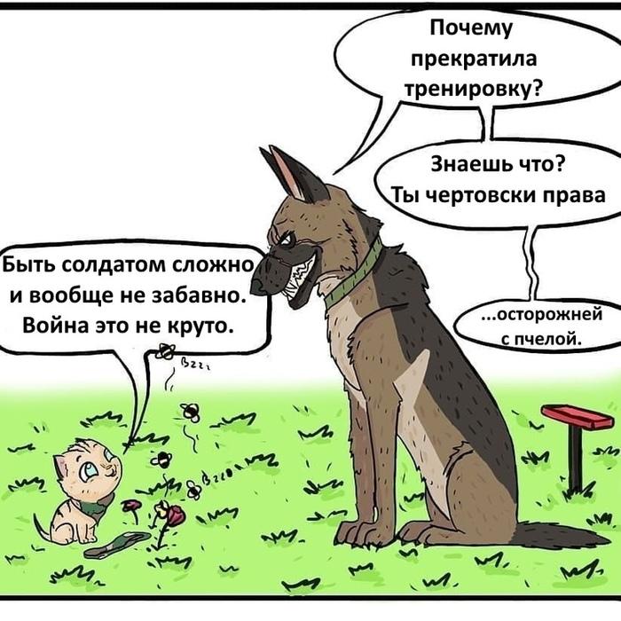 Манга Пикси и Брут - Глава 36.1 Страница 7