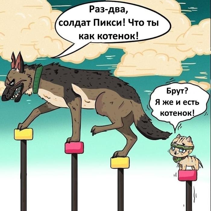 Манга Пикси и Брут - Глава 36.1 Страница 5