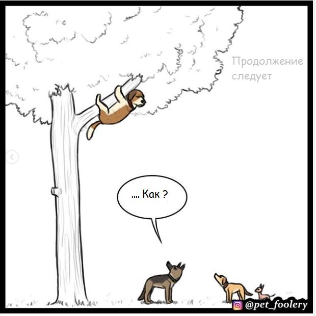 Манга Пикси и Брут - Глава 35 Страница 9