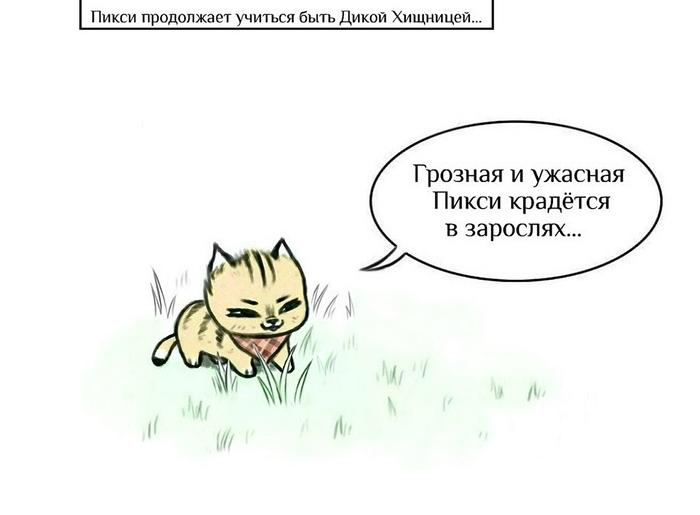 Манга Пикси и Брут - Глава 32 Страница 1