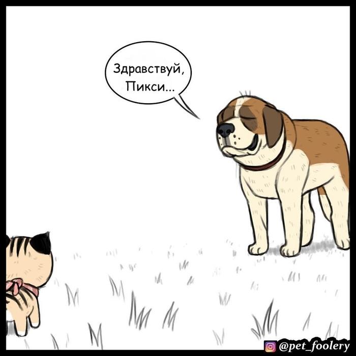 Манга Пикси и Брут - Глава 31 Страница 2