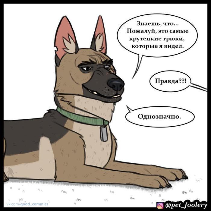 Манга Пикси и Брут - Глава 25 Страница 9