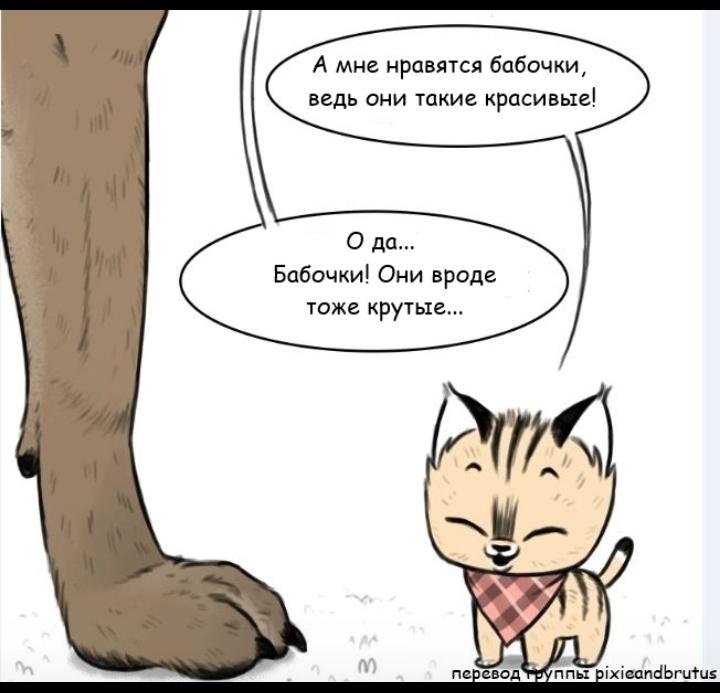 Манга Пикси и Брут - Глава 22 Страница 5