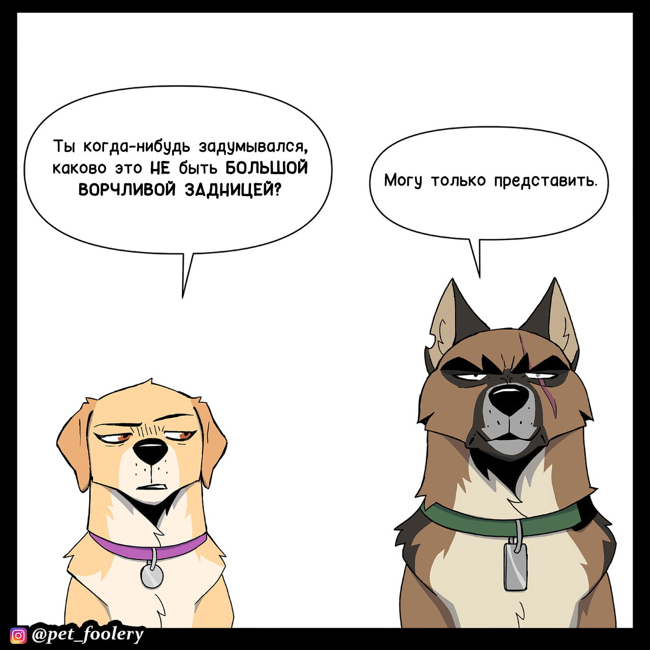 Манга Пикси и Брут - Глава 314 Страница 5