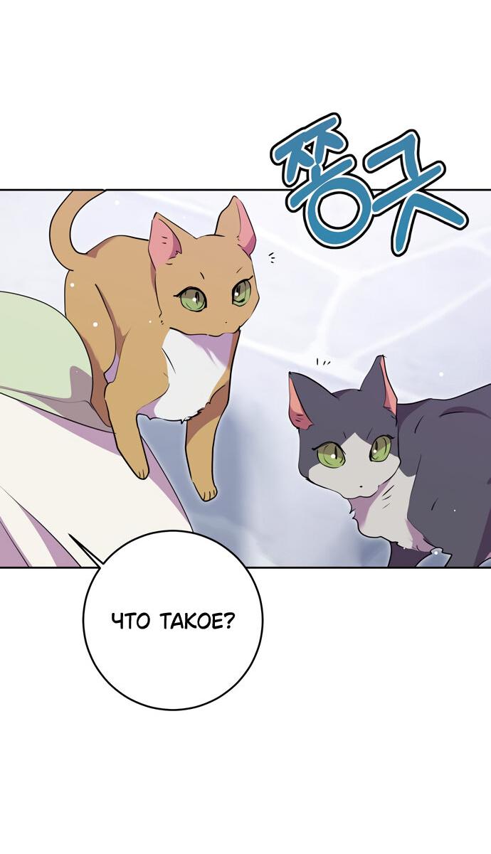 Манга Муж меняется каждую ночь - Глава 51 Страница 35