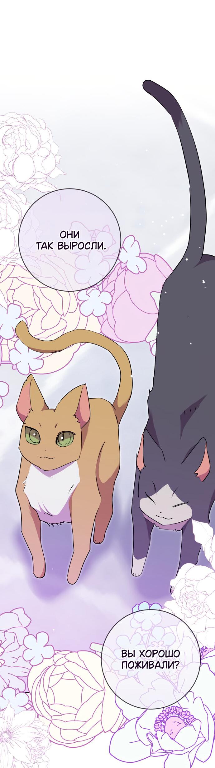 Манга Муж меняется каждую ночь - Глава 51 Страница 33