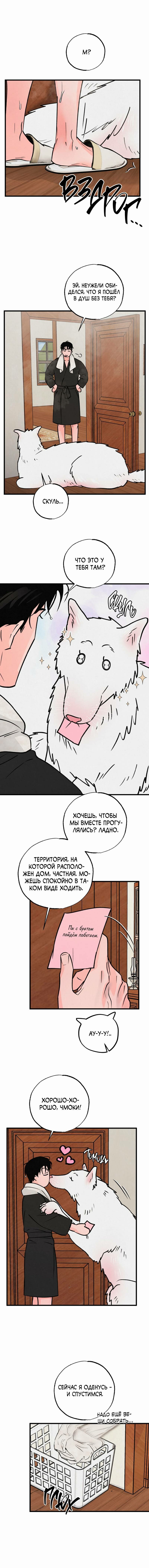Манга Золотая пара - Глава 60 Страница 15