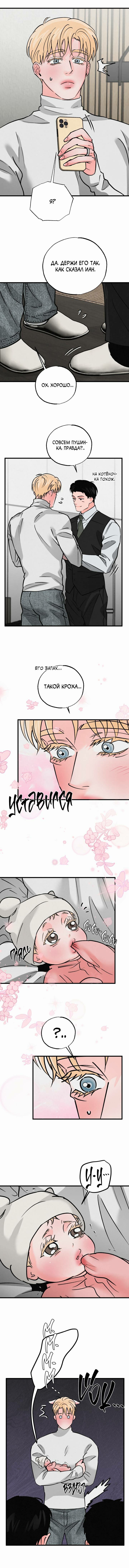 Манга Золотая пара - Глава 63 Страница 9