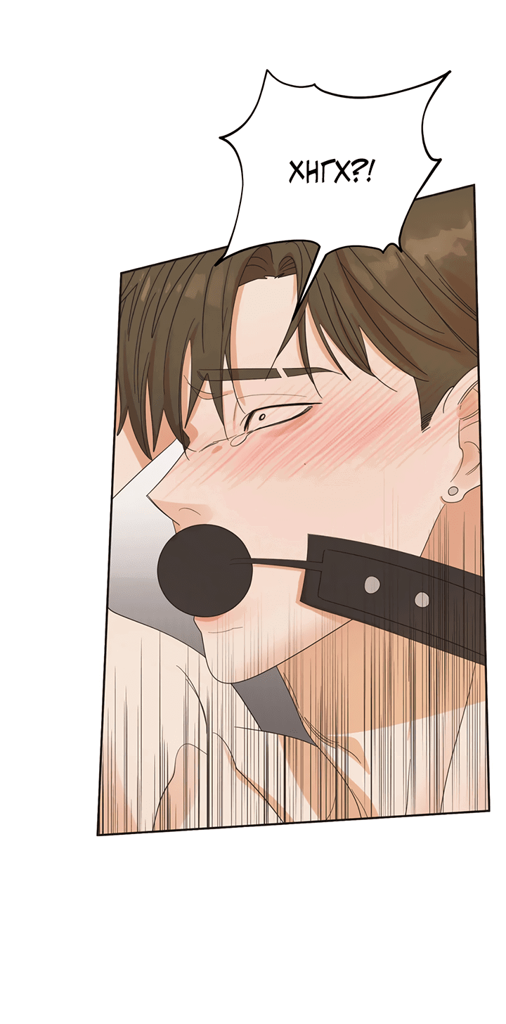 Манга Транслируемые желания - Глава 53 Страница 17