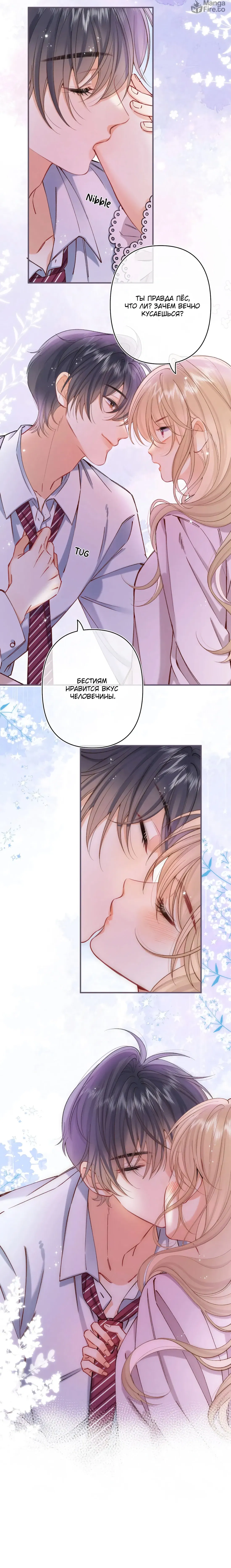 Манга Скрытая любовь - Глава 135 Страница 36