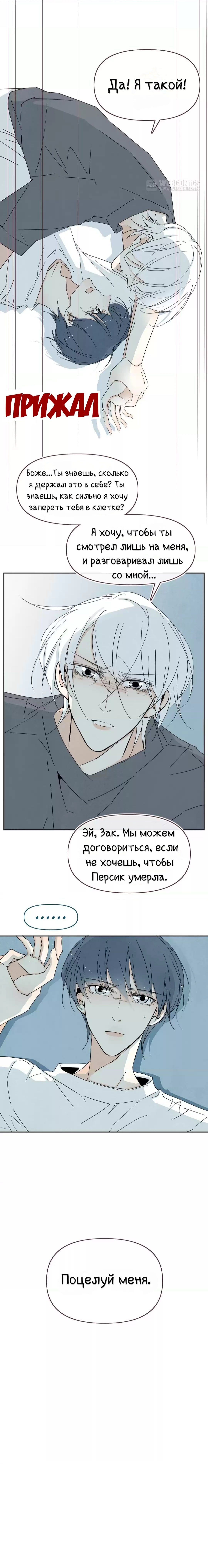 Манга Псих - Глава 47 Страница 3
