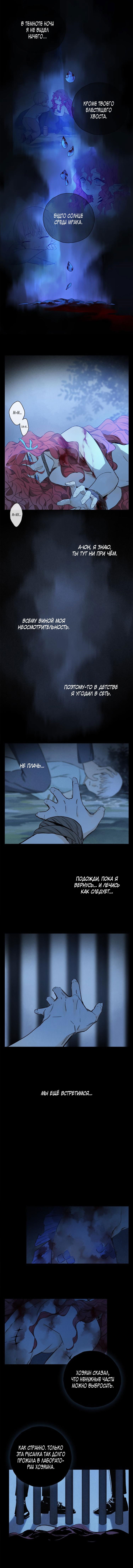 Манга Закон Августа - Глава 26 Страница 5