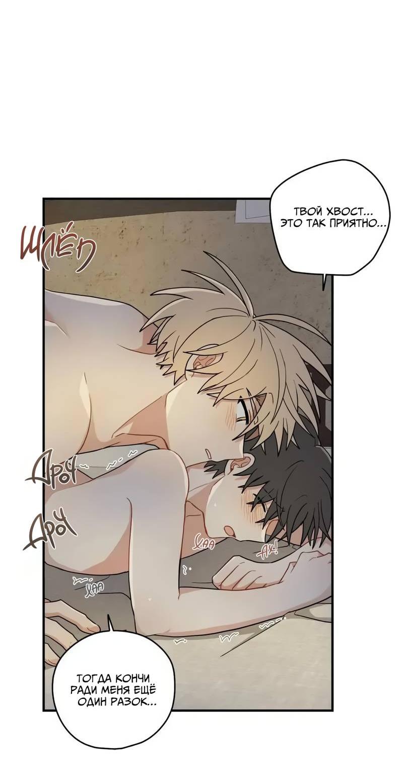 Манга Дорога, где упала форзиция - Глава 52 Страница 29