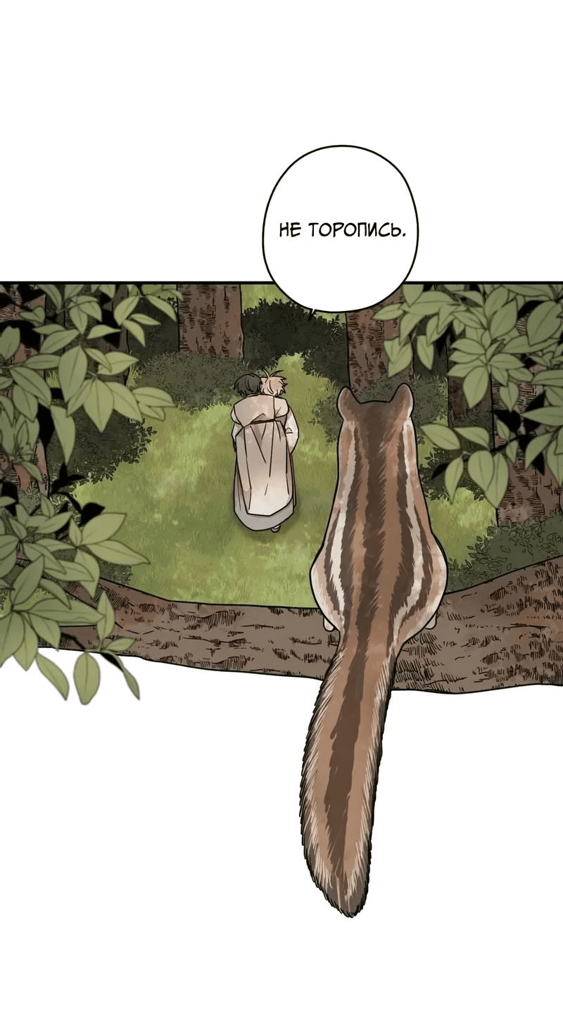 Манга Дорога, где упала форзиция - Глава 54 Страница 11
