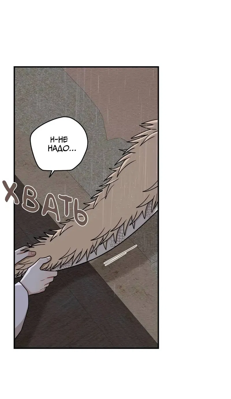 Манга Дорога, где упала форзиция - Глава 59 Страница 22