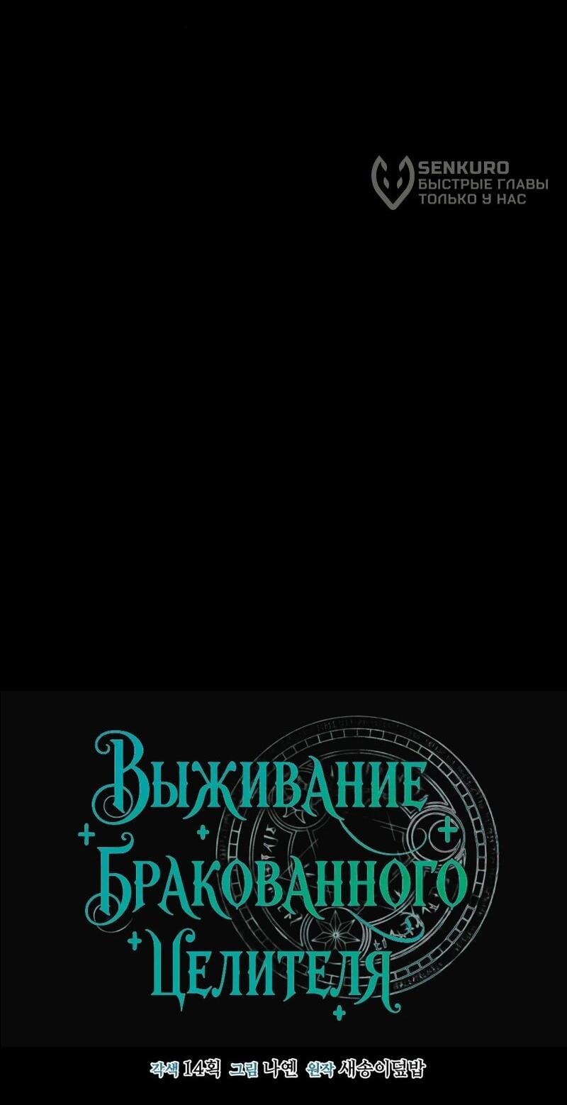 Манга Как жить, будучи Нелицензированным Целителем - Глава 134 Страница 47