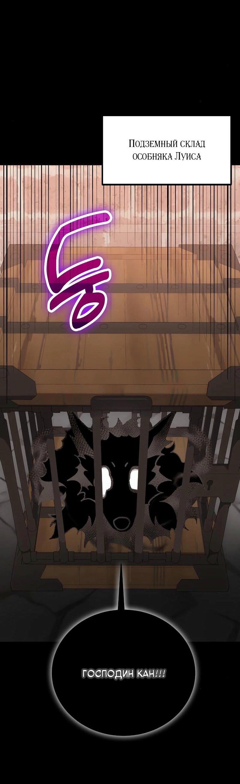 Манга Как жить, будучи Нелицензированным Целителем - Глава 101 Страница 46