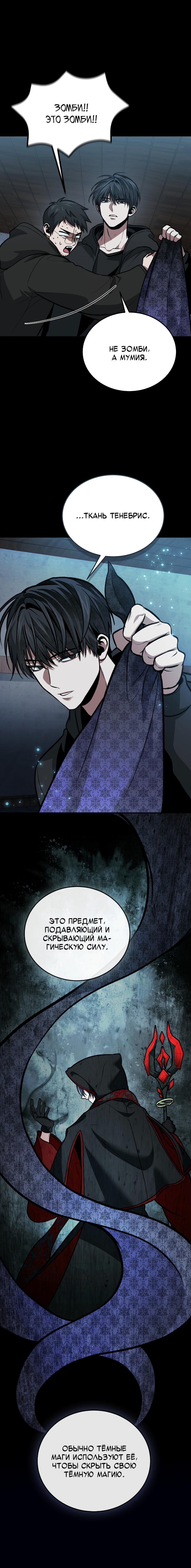 Манга Как жить, будучи Нелицензированным Целителем - Глава 95 Страница 25