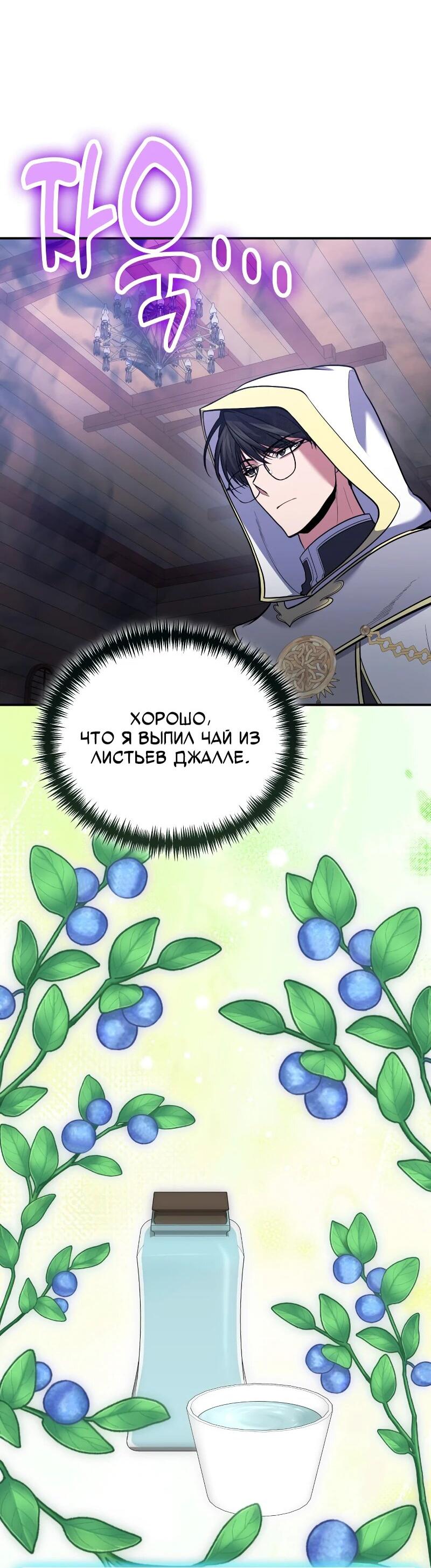 Манга Как жить, будучи Нелицензированным Целителем - Глава 112 Страница 3