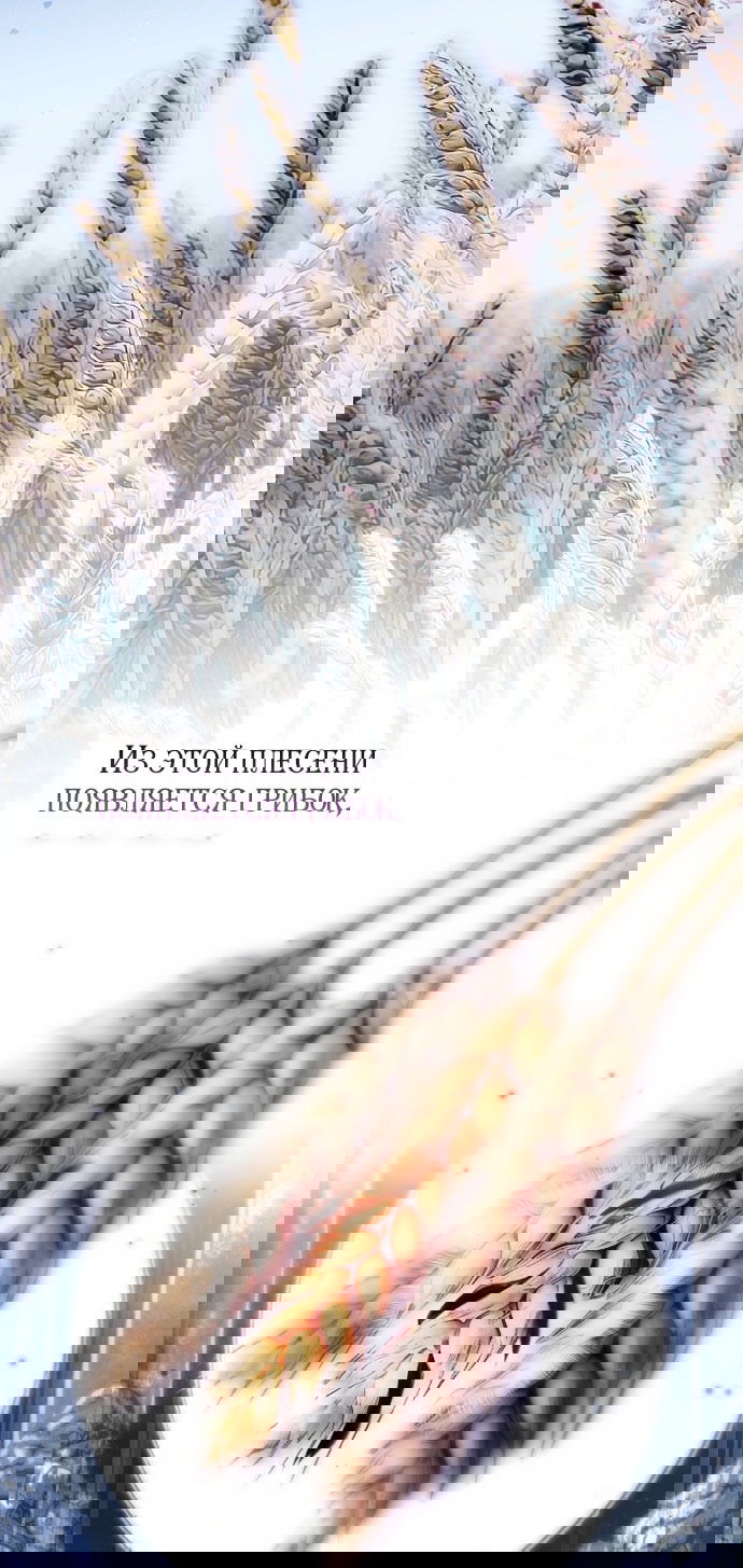 Манга Моё тело кем-то одержимо - Глава 79 Страница 3