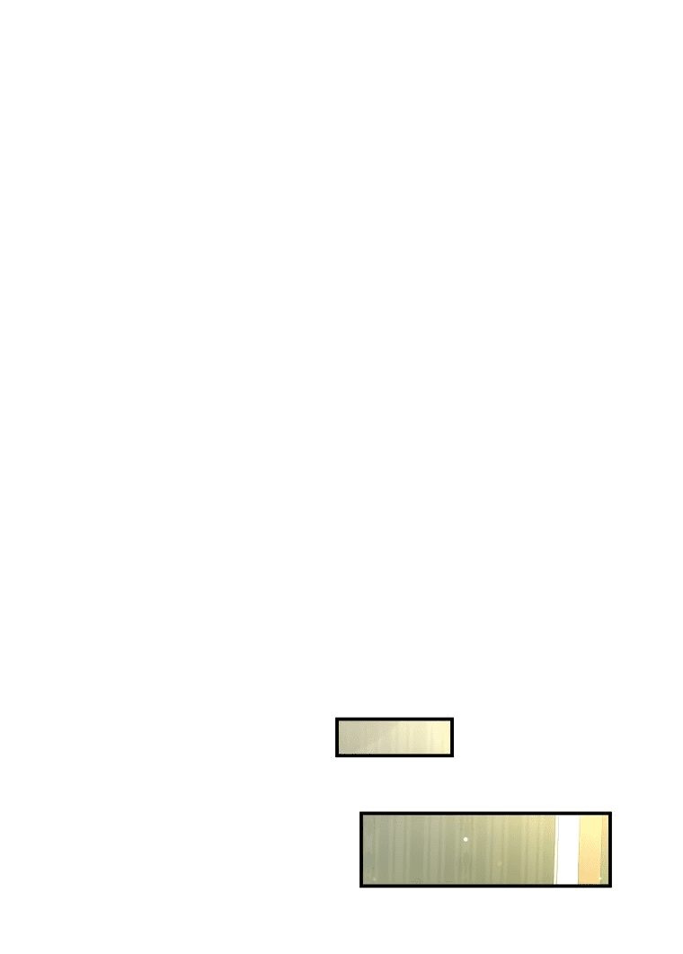 Манга Племянник главного героя меня обожает - Глава 38 Страница 50