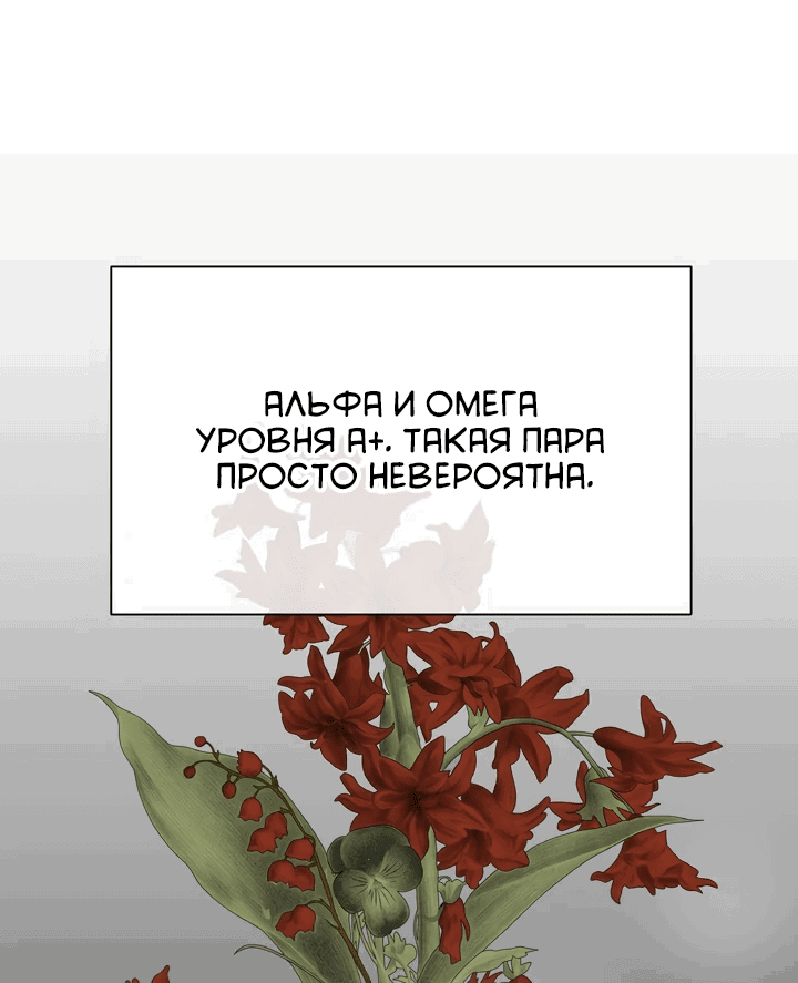 Манга С каким альфой вы хотите поиграть? - Глава 66 Страница 69