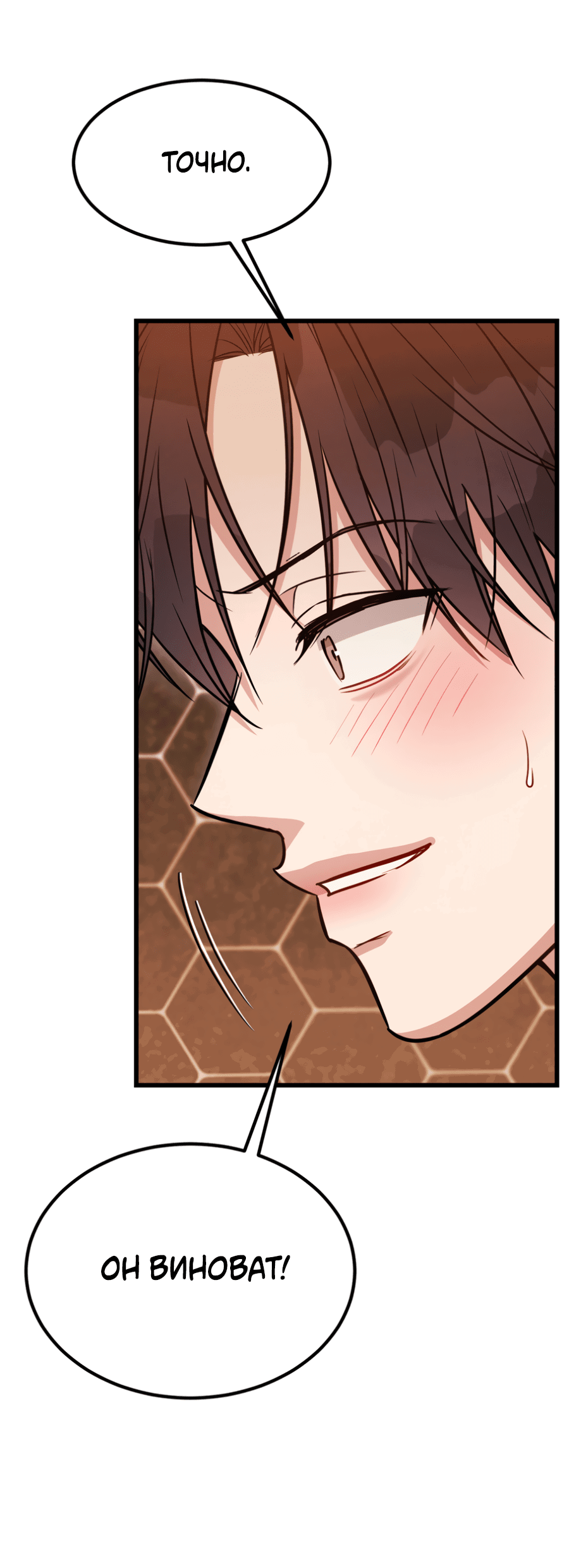 Манга Эффект плацебо - Глава 58.9 Страница 11