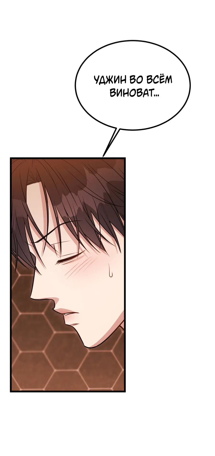 Манга Эффект плацебо - Глава 58.9 Страница 10