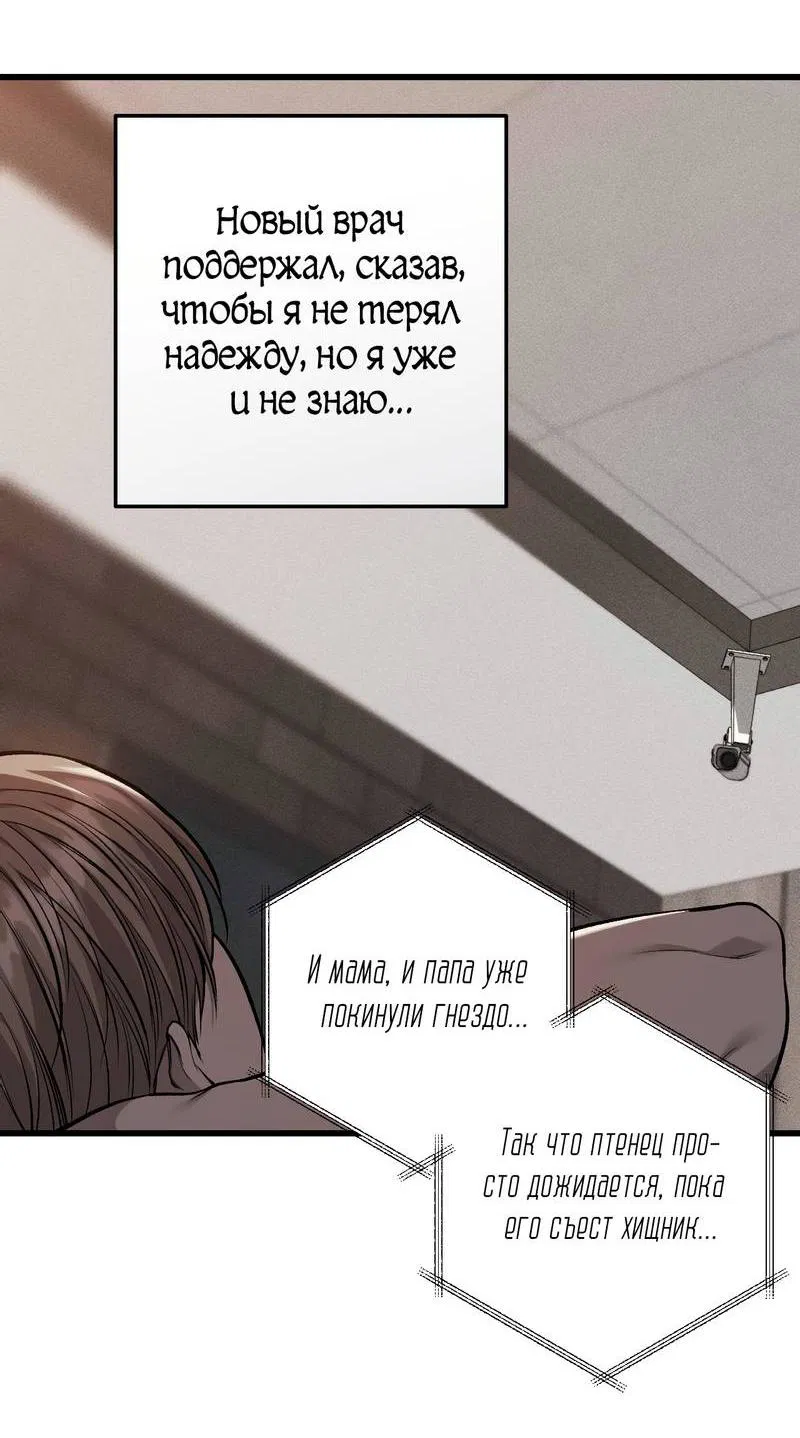 Манга Грязный ХХ - Глава 61 Страница 28