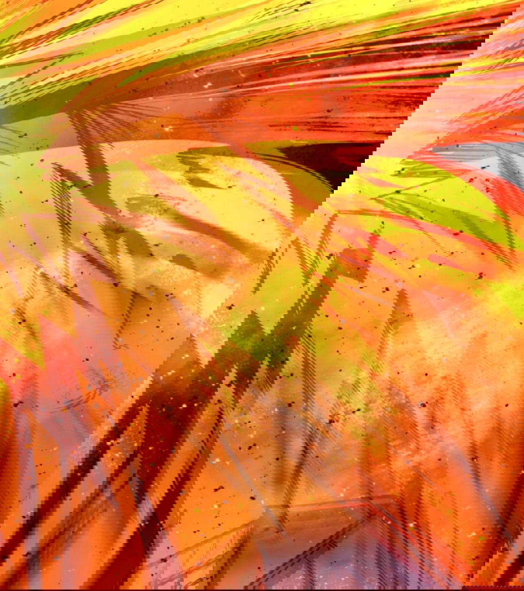 Манга Жуткий фармацевт: все мои пациенты ужасны - Глава 158 Страница 27