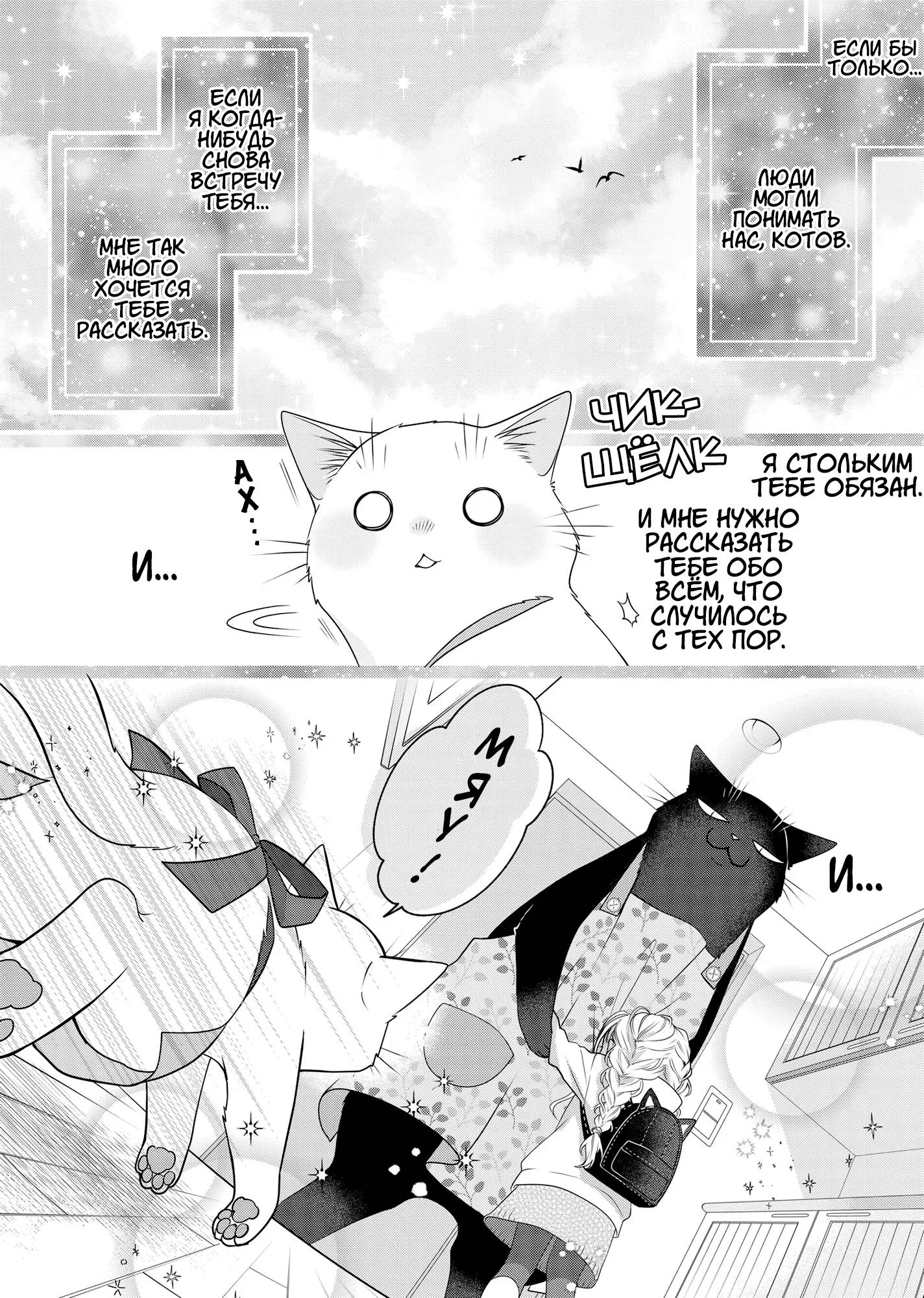 Манга Кот-мастер на все лапки сегодня снова грустит - Глава 90.5 Страница 13