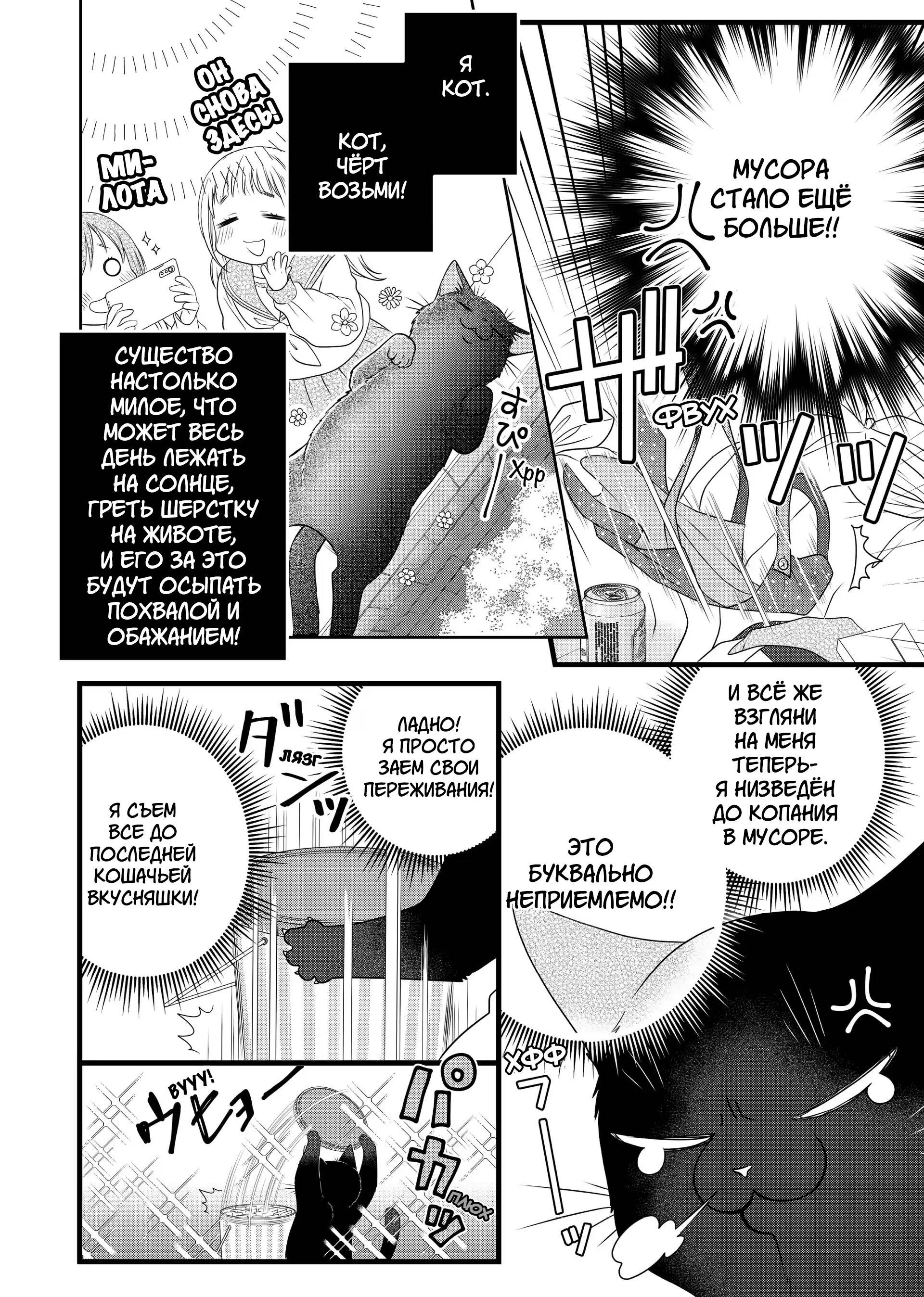 Манга Кот-мастер на все лапки сегодня снова грустит - Глава 82.5 Страница 10