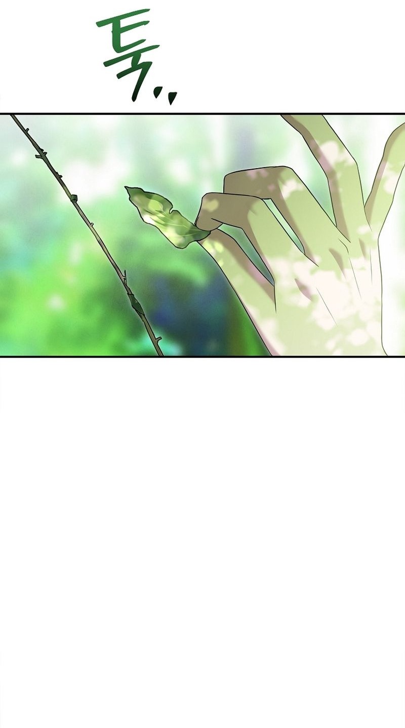 Манга Меркантильная принцесса - Глава 65 Страница 11