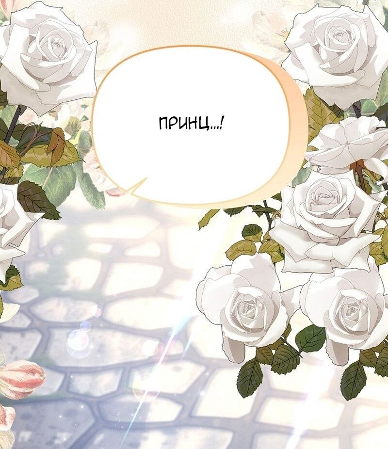 Манга Меркантильная принцесса - Глава 64 Страница 44