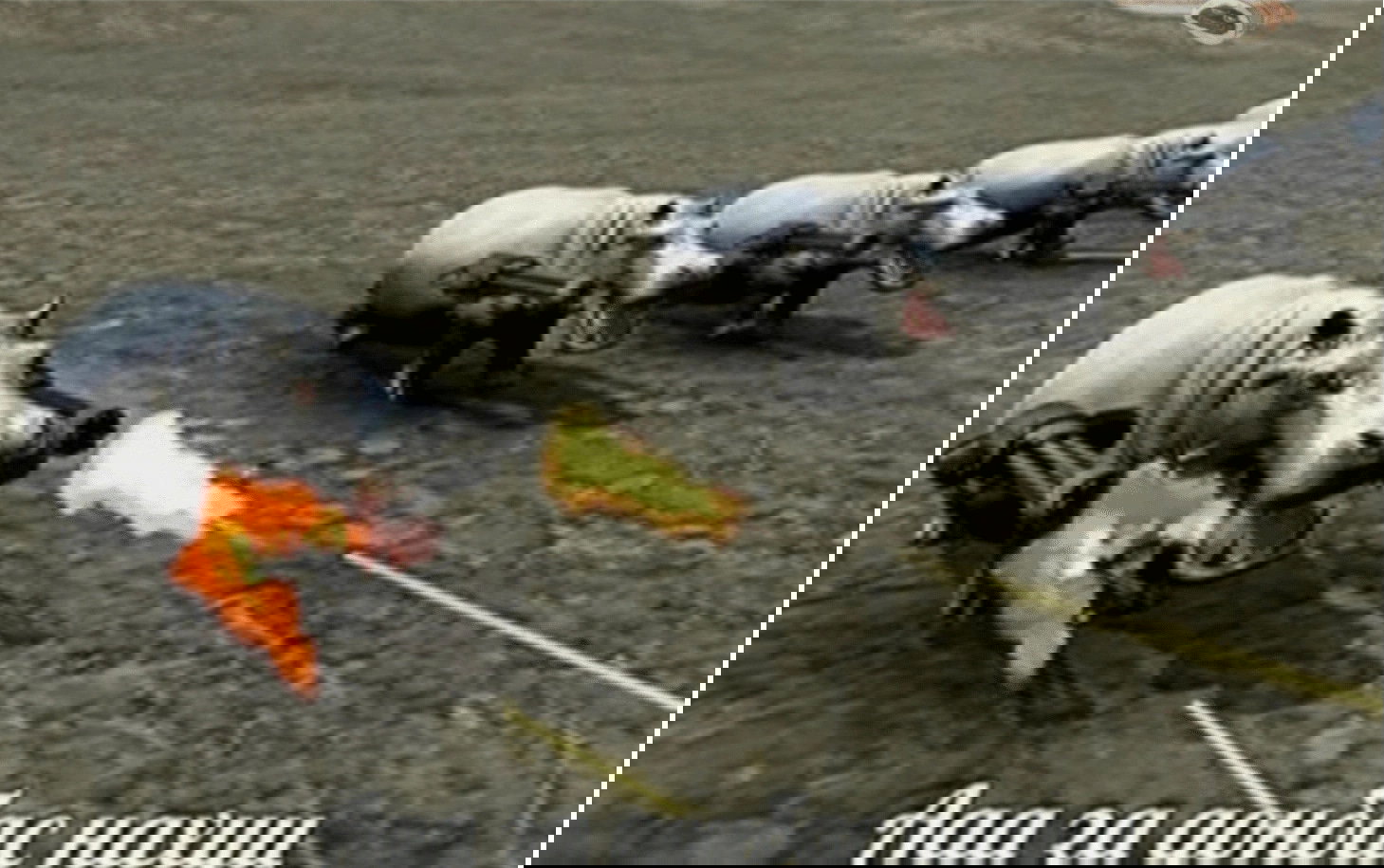 Манга Тигр еще не съел дракона - Глава 32 Страница 26