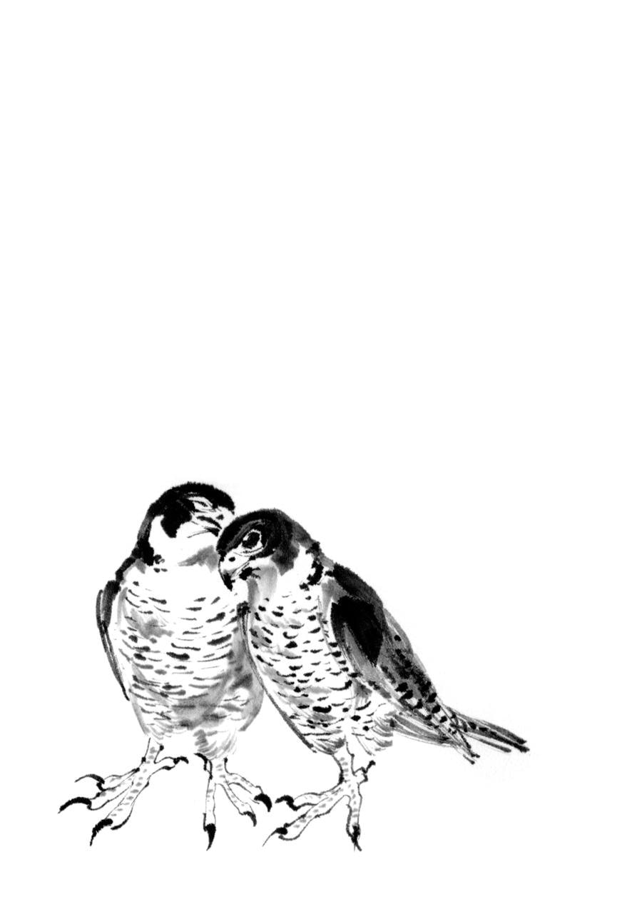 Манга Тигр еще не съел дракона - Глава 31 Страница 17