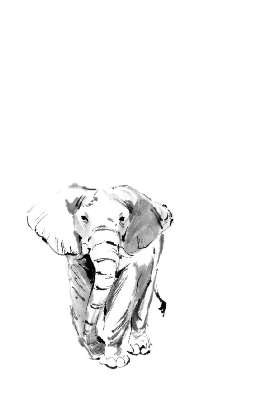 Манга Тигр еще не съел дракона - Глава 29 Страница 26