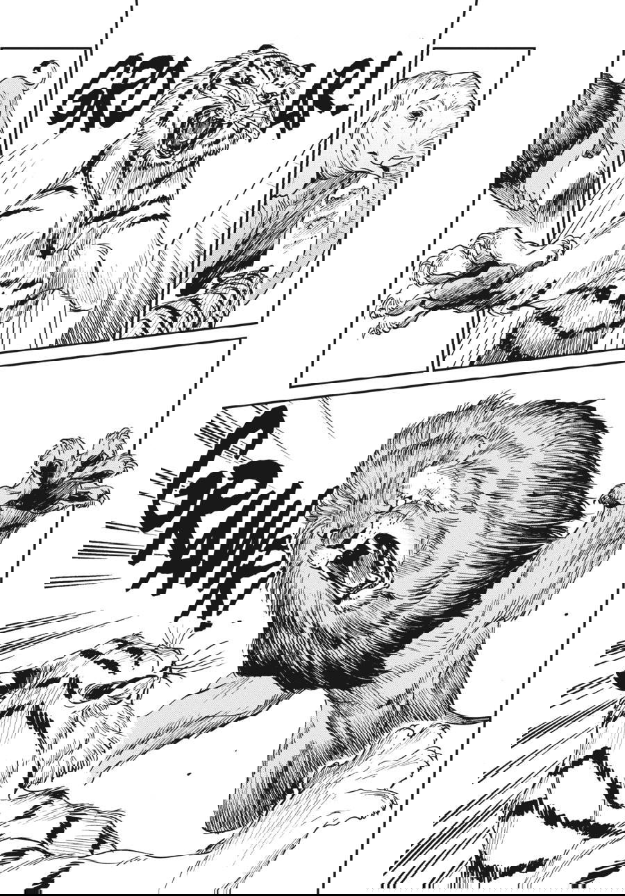 Манга Тигр еще не съел дракона - Глава 29 Страница 20