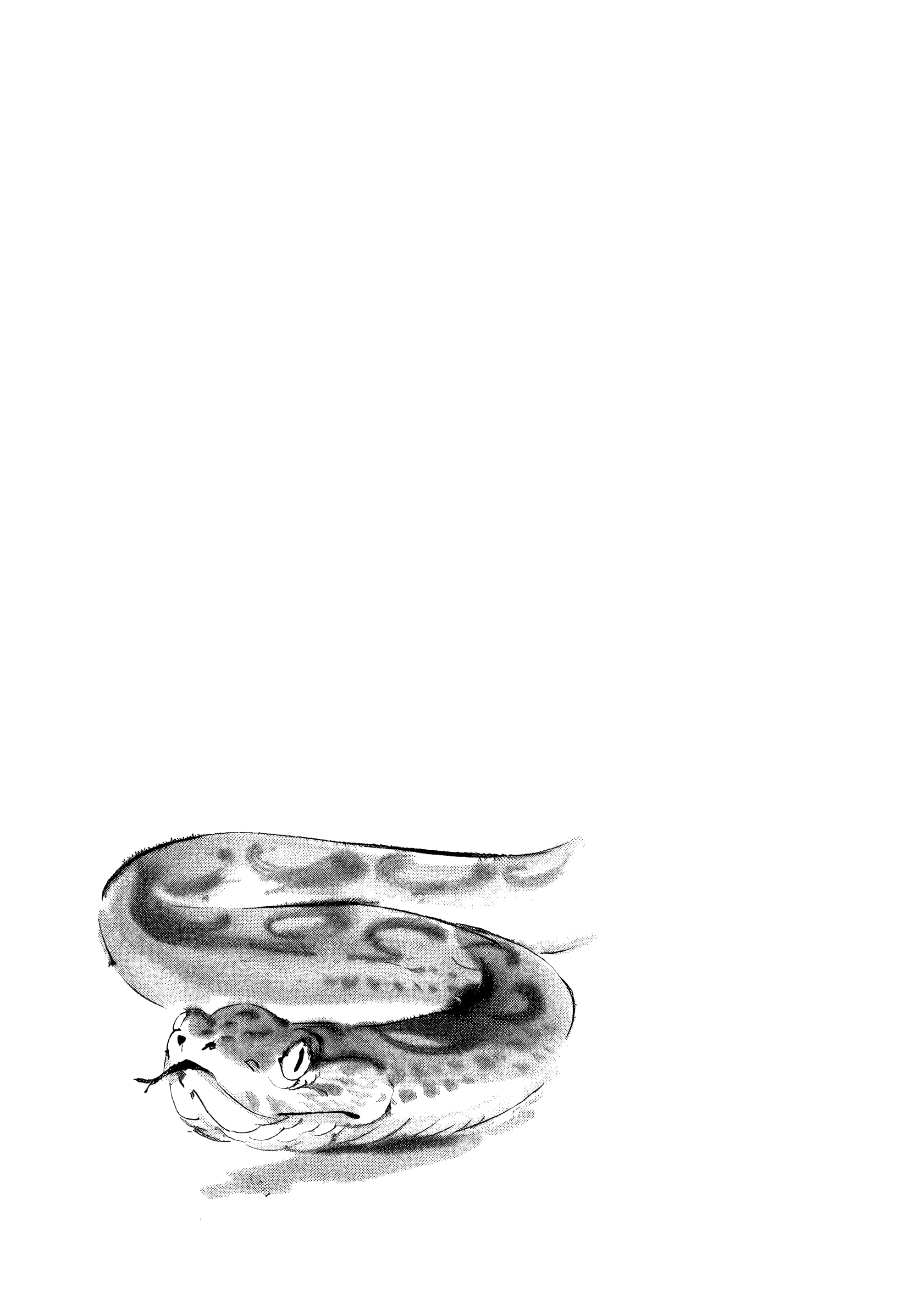 Манга Тигр еще не съел дракона - Глава 32.5 Страница 13